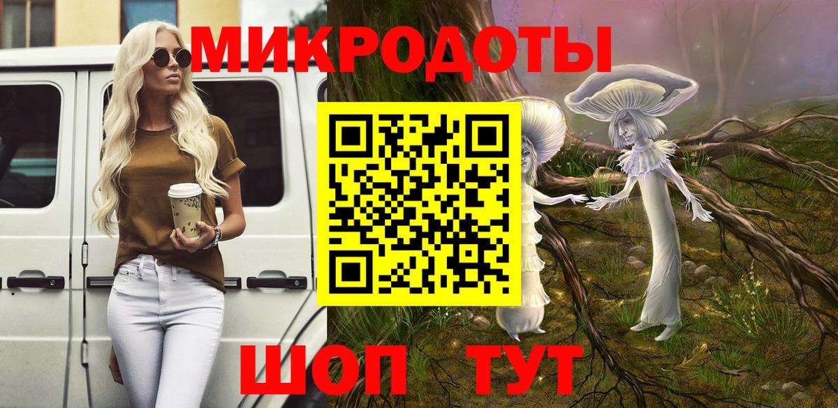 Майкоп  Псилоцибиновые грибы Cubensis  Вход с VPN 